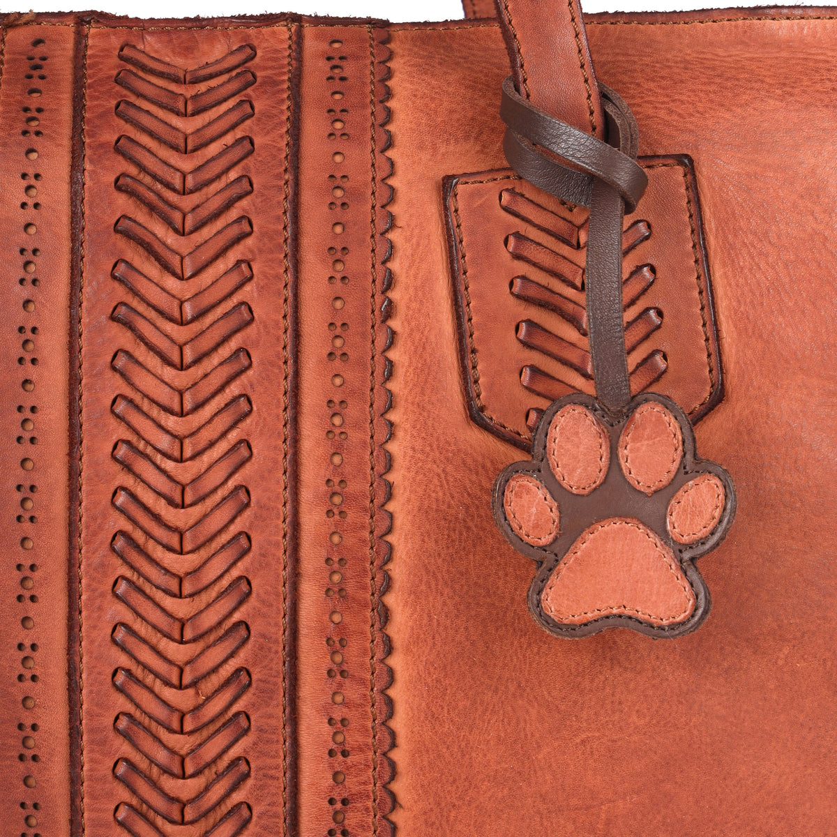Paw - The Charm