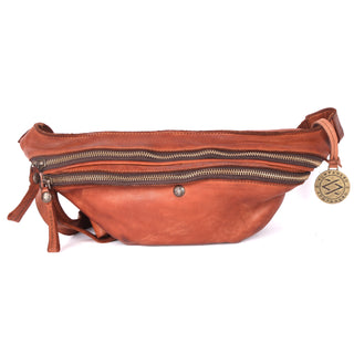 Arc - The Fanny Pack