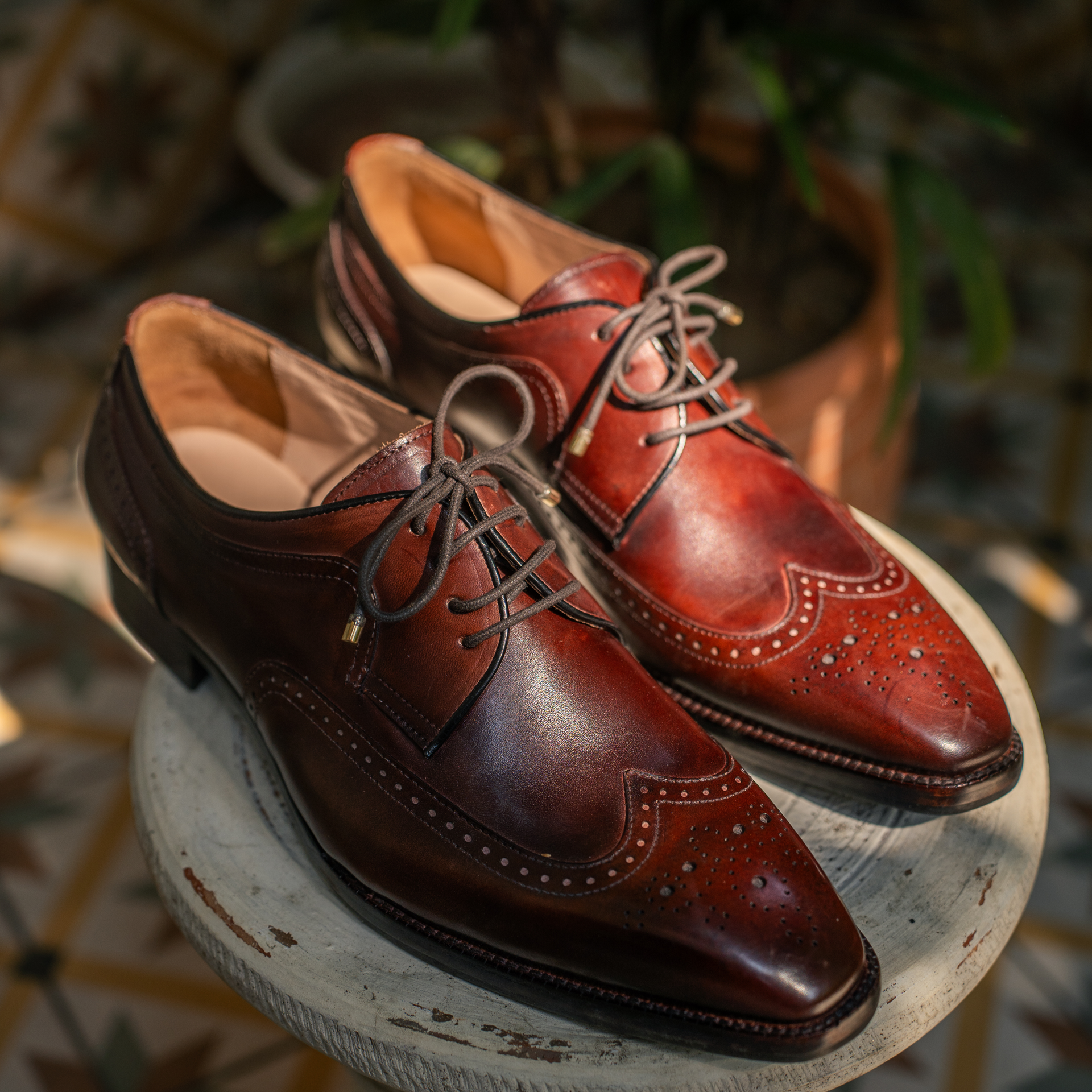 Oliver - The Brogue
